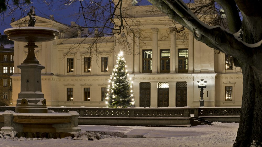 The picture shows Lundagård building decorated with a christmas tree on a snowy landscape.